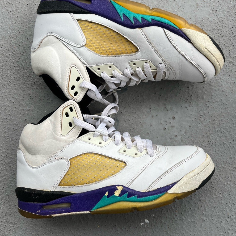 2006 Grape 5 Air Jordan Sneakers